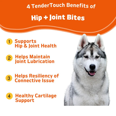 120 Chews - 1 Pack(1 x 180g/6.35oz) 180g/6.35oz - TenderTouch Hip & Joint Health - Glucosamine for Dogs Soft Chews