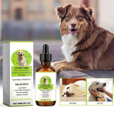 Hip And Joint Supplement Dogs Liquid Dog Multivitamin Dog Multivitamin Puppy Multivitamin Dog Supplement Drops For Puppies Adult