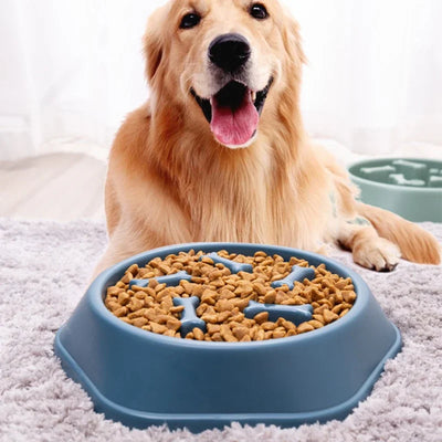 Pet Slow Food Bowl Anti Slip Small Medium Sized Dog Anti-choking Feeder Pet Slow Feeding Plate Dog Feeding Supplies