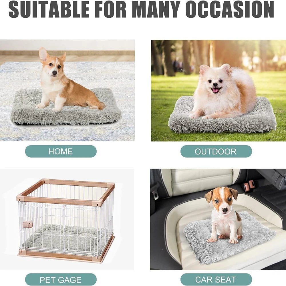 3 in1 Cat Sleeping Bed Small Dog Bed Two Sided Self Warming Summer Cool Pet Beds Heating Dog Mat Pet Pad Soft Cozy Crate